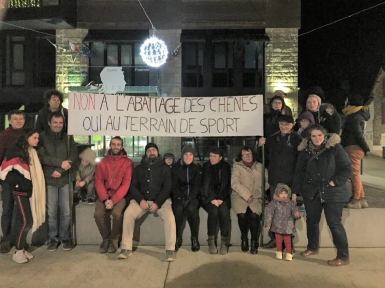 Lire la suite à propos de l’article Servon-sur-Vilaine. De vieux chênes font de l’ombre au terrain de foot